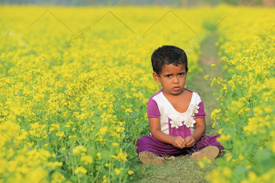 baby playing in mustard field